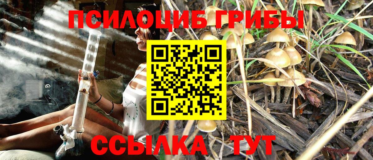Лосино-Петровский  Псилоцибиновые грибы MAGIC MUSHROOMS  Вход с VPN 